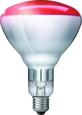 Rotlichtersatzlampe 150 Watt